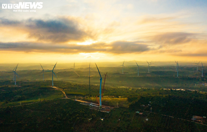 Những trụ turbine cao vút cắm xuống nền đất đỏ bazan như những cây bút khổng lồ. Khi nắng chiều chạm vào thân trụ trắng, chúng đổi màu từ trắng tinh sang hồng nhạt, rồi ánh lên sắc đồng cổ, như thể đã hấp thụ cả một ngày gió gào và nắng gắt.