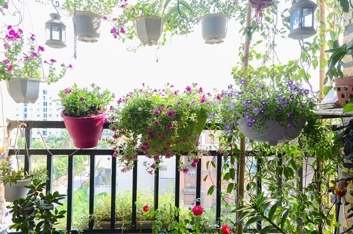 Ban công ngập hoa mang sắc xuân về nhà. (Ảnh: Greenmore)