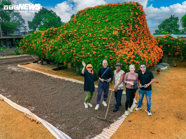 Được biết, ngôi nhà có thảm hoa xác pháo gần 10 năm tuổi, đẹp mê mẩn nói trên là của gia đình ông K’Tip (60 tuổi) thân thiện và dễ mến, thuộc cộng đồng người K'Ho đang sinh sống và làm việc ở vùng cao nguyên Lâm Đồng.