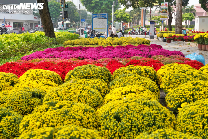 TP.HCM tổ chức 8 chợ hoa Tết cấp thành phố, trong đó 3 chợ đặt tại công viên công cộng. Các chợ hoa dự kiến mở bán từ 2/2 và kết thúc trưa 16/2 (29 tháng Chạp). (Ảnh minh họa: Lương Ý)