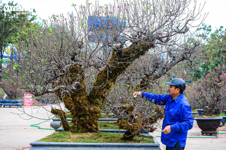 Ngày 24/1, miền Bắc chuyển rét đậm diện rộng.