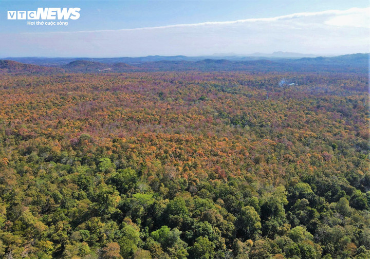 Bên con sông Sêrêpôk huyền thoại, nước chảy quanh năm, dưới nền trời xanh ngắt, hàng nghìn hecta rừng khộp đồng loạt thay lá, tạo nên một khung cảnh ấn tượng.