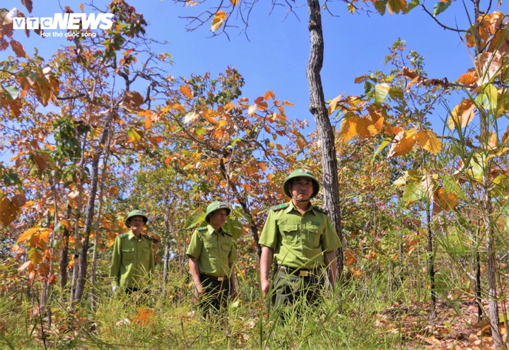 Ngoài ra, các cán bộ kiểm lâm cũng tổ chức tuần tra dọc các tuyến suối, băng qua các cánh rừng để bảo vệ các loài động vật khỏi sự săn bắn của con người.