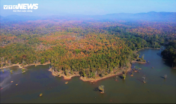 Cứ vào khoảng cuối tháng 11 hàng năm, rừng khộp rộng lớn ở Vườn quốc gia Yók Đôn ( xã Buôn Đôn, Đắk Lắk) lại khoác lên mình 'chiếc áo' sặc sỡ.