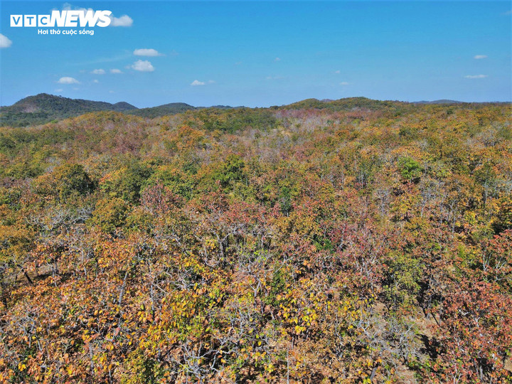Vườn Quốc gia Yok Đôn rộng hơn 115 ngàn héc ta, là nơi duy nhất ở nước ta có hệ sinh thái rừng khộp tự nhiên rộng lớn. Đây là loại rừng đặc hữu của Tây Nguyên, Việt Nam nói riêng và của vùng Đông Nam Á nói chung; được xếp vào loại A trong các khu bảo vệ có tầm quan trọng quốc tế.