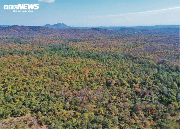 Tháng 11/2024, Vườn quốc gia Yok Đôn được xác lập kỷ lục là vườn quốc gia bảo tồn hệ sinh thái rừng khộp lớn nhất Việt Nam.