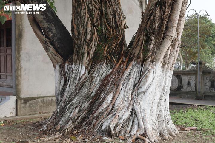 Chiêm ngưỡng những pho tượng cổ độc đáo trong đền thờ danh tướng Yết Kiêu - 23