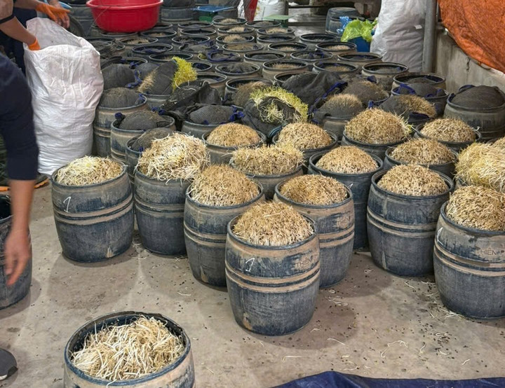 Vật chứng trong vụ án.