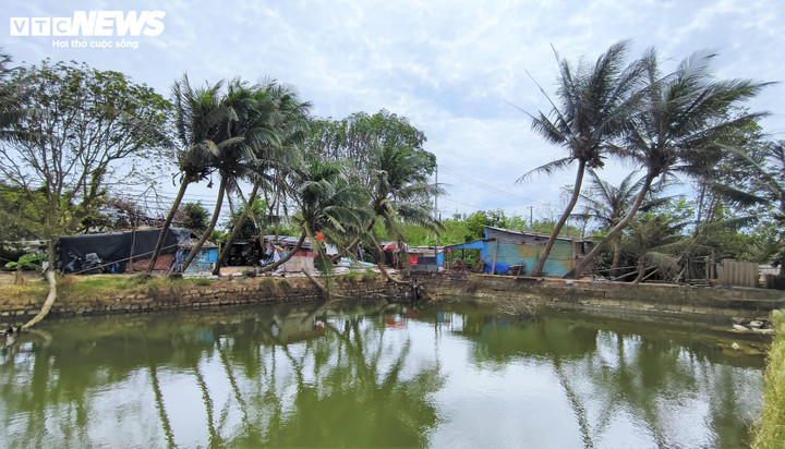 PV Báo Điện tử VTC News ghi nhận thực tế trong thời gian qua, vì bị ảnh hưởng bởi quy hoạch vùng dự án để lại mà người dân không chỉ sống trong cảnh nhà mái ngói vỡ vụn, tường gạch nứt toác được chắp vá bằng những tấm bạt xanh... mà đến ngay cả sinh kế là công việc nuôi trồng thủy sản bị ảnh hưởng theo.