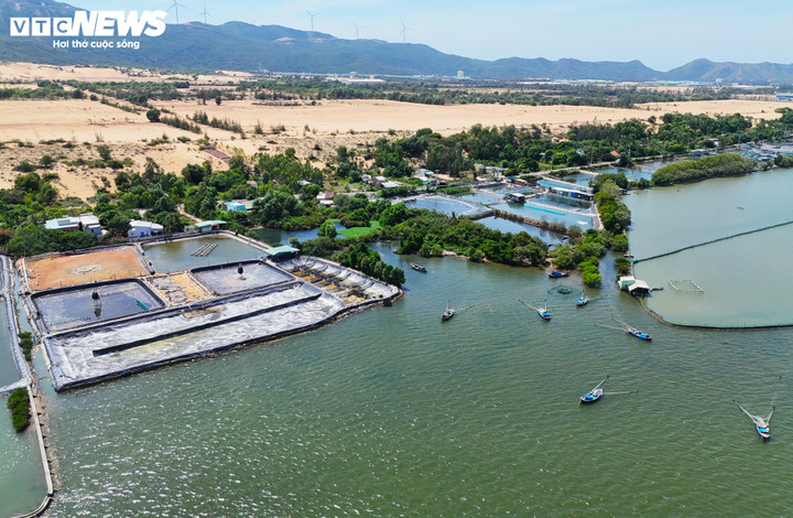 Như Báo Điện tử VTC News thông tin trước đó, Dự án Khu vui chơi giải trí đầm Thị Nại được UBND tỉnh Bình Định cũ (nay là tỉnh Gia Lai) cấp quyết định chấp thuận nhà đầu tư vào năm 2022 với quy mô 30,43ha, tổng vốn đầu tư 795,7 tỷ đồng. Dự án do Công ty Phú Sơn Thuận làm chủ đầu tư gồm các công trình vui chơi, giải trí (công viên nước, thủy cung, suối nóng, hệ thống đường tàu lượn, các trò chơi mạo hiểm, bắn súng sơn…); các công trình phụ trợ; cây xanh cảnh quan...