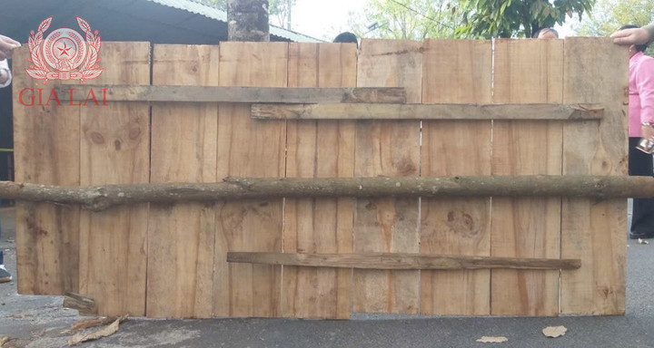 Tấm ván đậy chiếc hố giấu xe được ghép bởi 9 miếng gỗ thông 3 lá. (Ảnh: Công an Gia Lai)