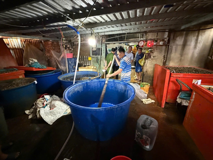 Rúng động đường dây 'phù phép' 3.000 tấn thịt ốc bằng hóa chất công nghiệp - 4