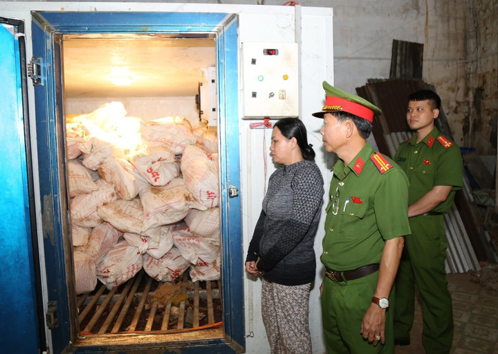 Để bảo quản số lượng lớn heo chết do dịch bệnh, Phượng đã mua tủ đông, thùng đá và container lạnh làm kho chứa, phục vụ việc tiêu thụ ra thị trường.