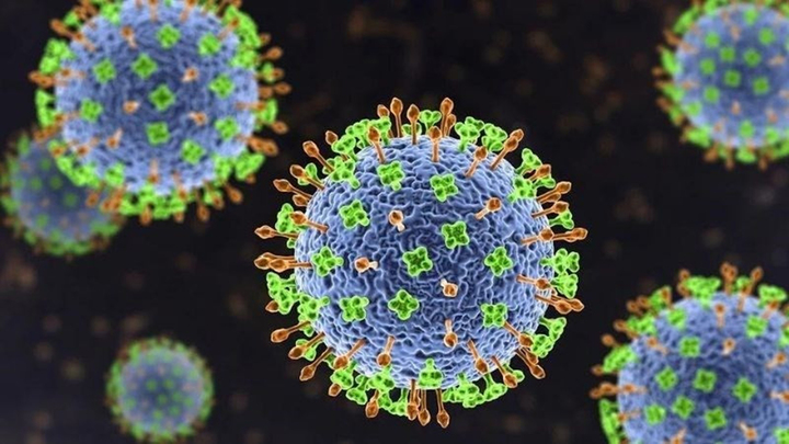 Virus Nipah có nguy hiểm và gây bùng phát dịch như Covid-19?