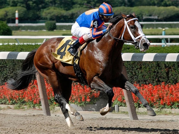 (Ảnh: Sothebysrealty)