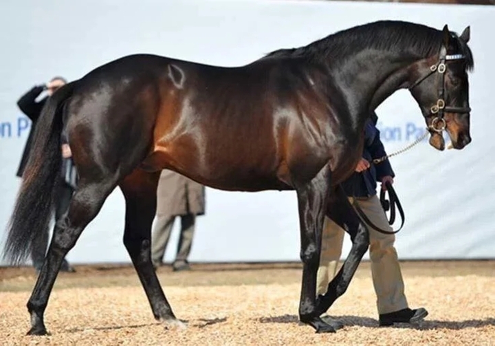 (Ảnh: Sothebysrealty)