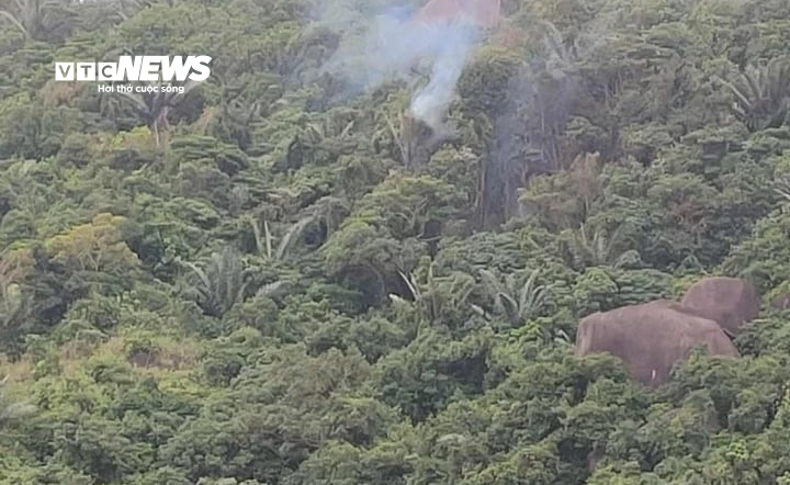 Hiện trường vụ rơi máy bay, lực lượng chức năng đang tiếp cận.