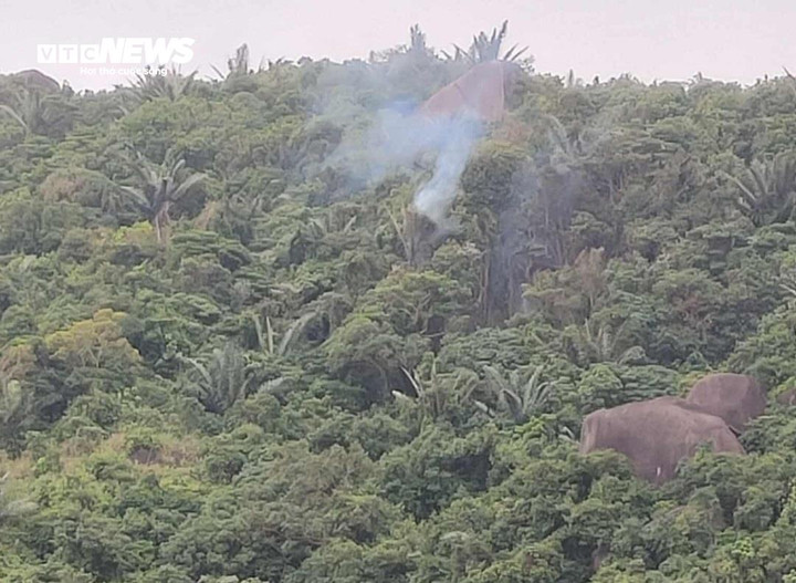 Hiện trường sự cố rơi máy bay.