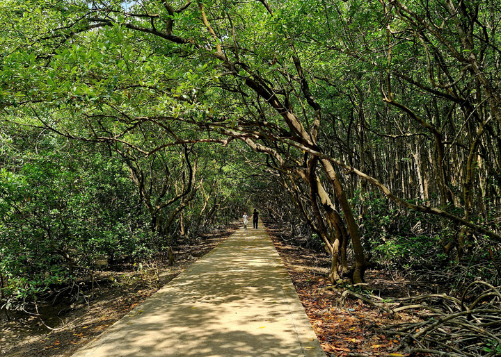 Khu du lịch Rừng Sác, địa chỉ độc đáo thu hút khách đến Cần Giờ.