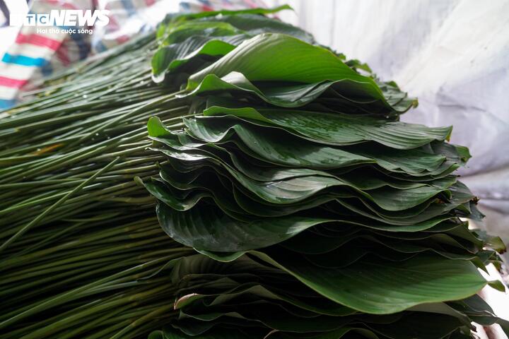 Làng lá dong vào vụ thu hoạch Tết, người trồng 'hái tiền' mỏi tay - 11