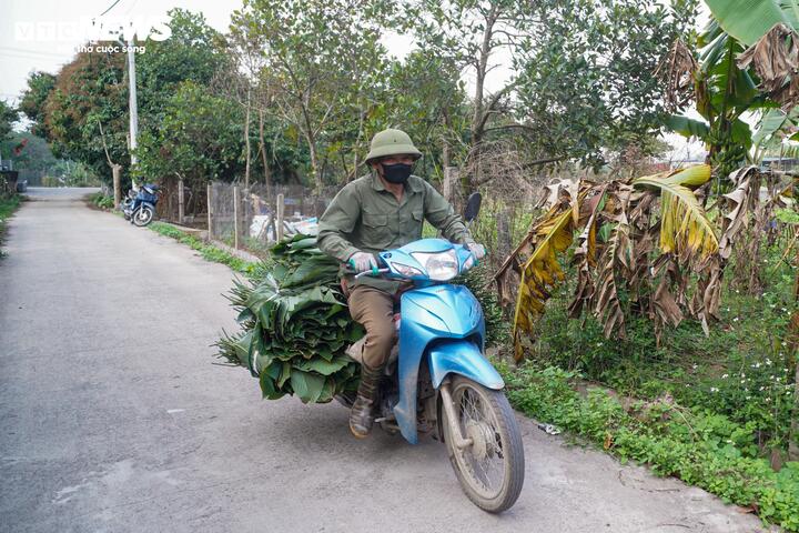Những chuyến xe chở lá dong nối đuôi nhau rời làng, khiến không khí ở "thủ phủ" lá dong những ngày cận Tết càng thêm nhộn nhịp.