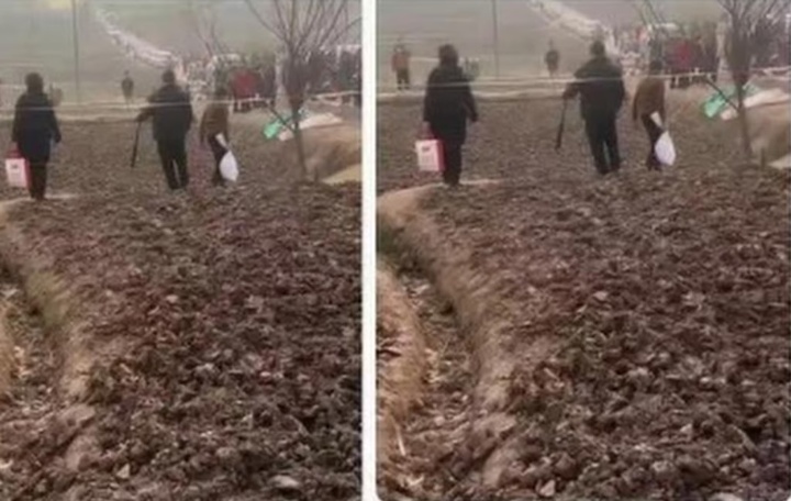 Đám đông người dân đã đến lấy đất từ khu đất bên ngoài nhà của Daidai. (Ảnh: Myzaker)