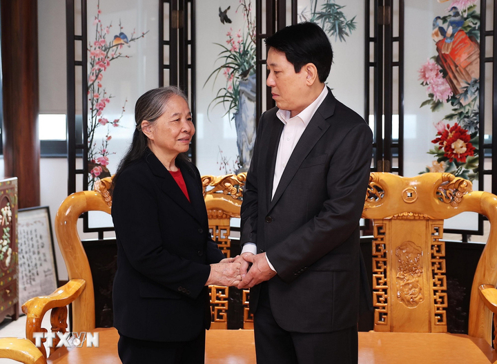 Chủ tịch nước Lương Cường thăm hỏi, chúc Tết bà Ngô Thị Mận, Phu nhân cố Tổng Bí thư Nguyễn Phú Trọng.