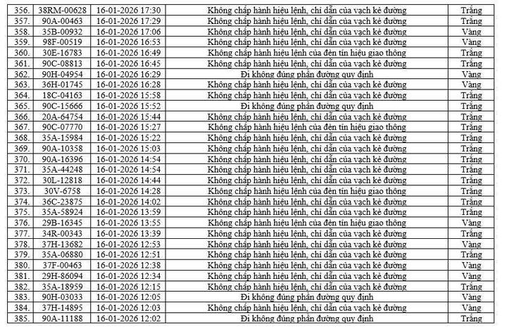 Camera AI phát hiện 416 phương tiện vi phạm tại Ninh Bình chỉ trong một tuần - 14