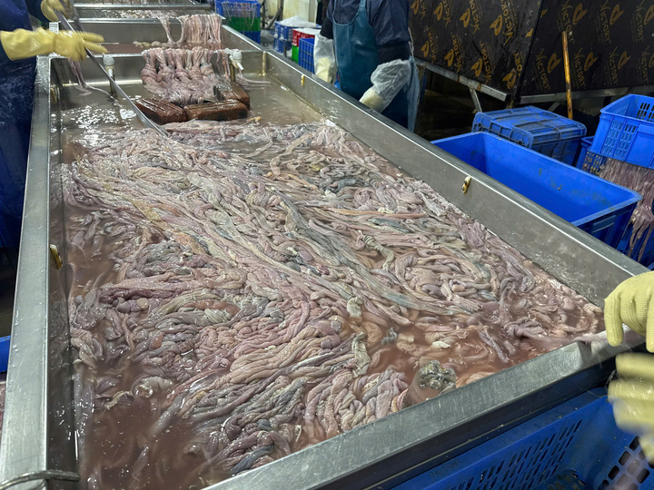 Lòng lợn chuyển màu, bốc mùi hôi thối.