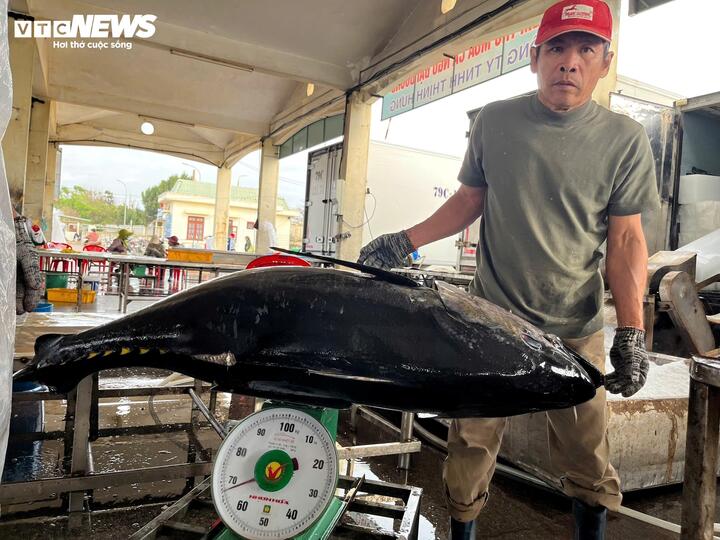 Ngư dân vui mừng vì chuyến biển cuối năm vừa được mùa vừa được giá.