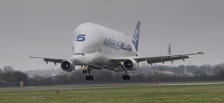 Airbus BelugaST 5 hạ cánh lần cuối tại xứ Wales vào ngày 29/1. (Nguồn: Airbus)