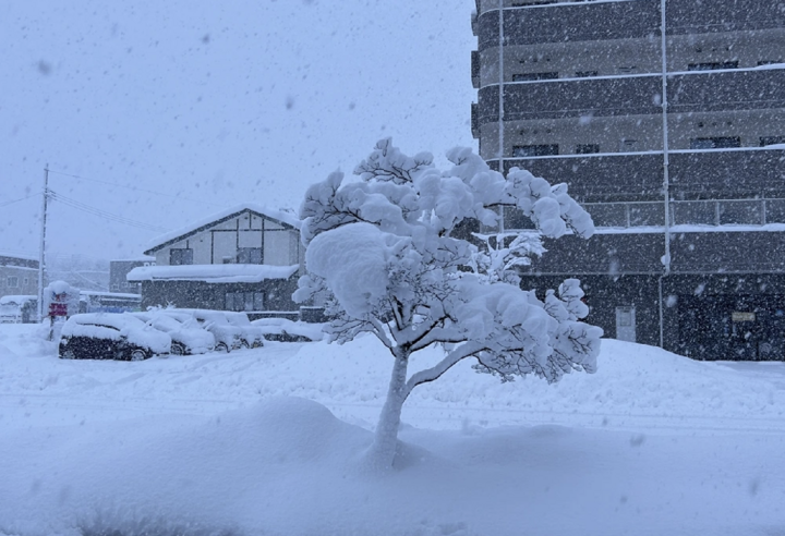 Tuyết rơi dày đặc ở nhiều nơi gây thiệt hại nghiêm trọng về người và của tại Nhật Bản. (Ảnh: VOV/Tokyo)