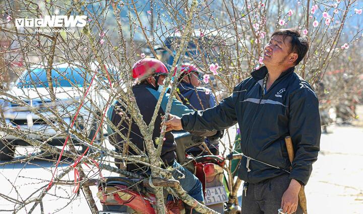 Ngày 2/2, miền Bắc có nơi rét đậm. (Ảnh minh hoạ: Đắc Huy)