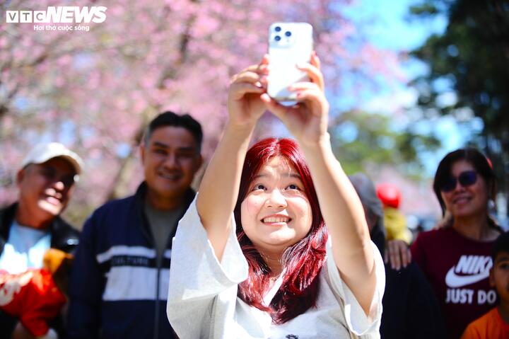 Theo người dân Đà Lạt, năm nay hoa mai anh đào nở đều và đẹp. Có thể ví cả phố núi Đà Lạt như một phông nền sống động, nơi mỗi người đều có thể tìm thấy một góc nhỏ cho riêng mình trong mùa hoa. Trước một khung cảnh nên thơ và đẹp rực rỡ, nhiều người bày tỏ niềm hạnh phúc, nụ cười tươi thắm khi được hòa mình vào thiên nhiên tuyệt đẹp và không khí trong lành của Đà Lạt.