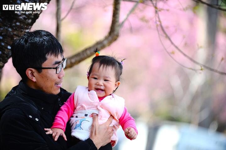 Du khách muốn ngắm và chụp ảnh mai anh đào trong nội đô Đà Lạt, ngoài đường Trần Hưng Đạo có thể tham khảo thêm một số tuyến đang vào độ đẹp. Khu vực quanh hồ Xuân Hương, các đoạn đường ven hồ và lân cận quảng trường Lâm Viên thường có nhiều cây nở rải rác, dễ đi bộ và chọn góc chụp.