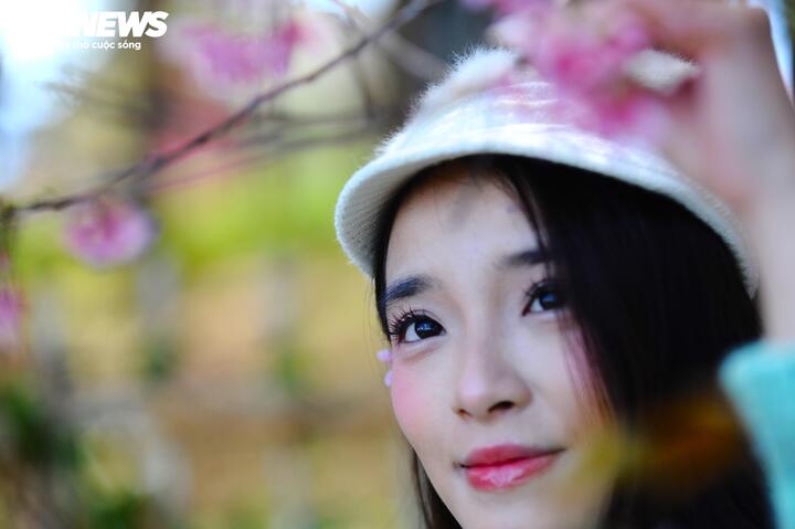 Dù là ai, ở đâu và làm gì, chỉ cần một lần ngắm nhìn màu hoa ấy cũng sẽ mang theo thương nhớ suốt đời.