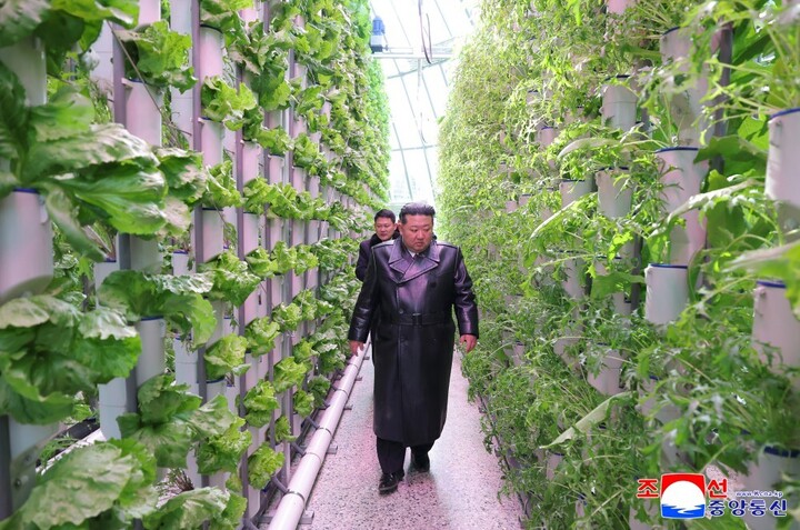 Nhà lãnh đạo Triều Tiên cùng các cán bộ lãnh đạo đã đến thăm trang trại nhà kính tổng hợp Sinuiju ngay sau khi buổi lễ khánh thành kết thúc.