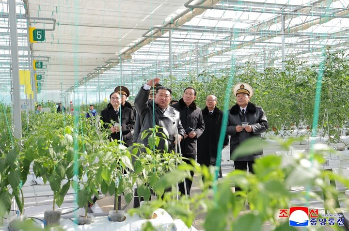 Nhà lãnh đạo Triều Tiên Kim Jong-un cùng các cán bộ lãnh đạo tham quan trang trại nhà kính ở Sinuiju.