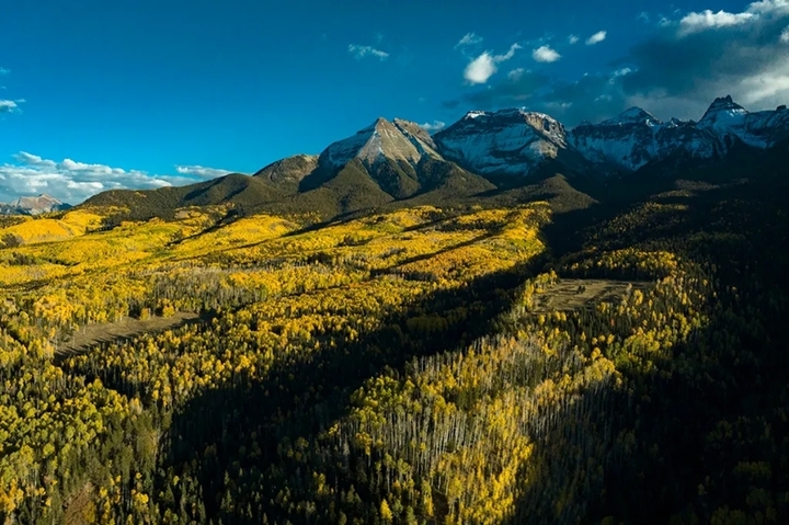 (Ảnh: Getty Image)