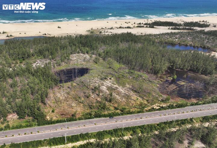 Những mảng rừng dương trên vốn là niềm tự hào của người dân miền biển bởi sức sống và tuổi đời cũng như chức năng chắn gió, cát bay cát nhảy nay chỉ còn là những thân khô khốc.