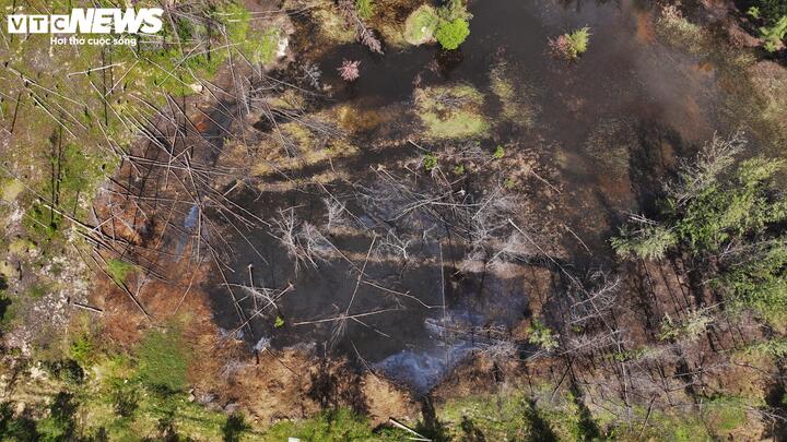 Theo UBND xã An Lương, địa phương hiện quản lý 1.158ha đất lâm nghiệp, trong đó có 668ha rừng phòng hộ và 496ha rừng sản xuất. Riêng diện tích rừng sản xuất, hộ gia đình, cá nhân quản lý 398ha, UBND xã quản lý khoảng 92ha.