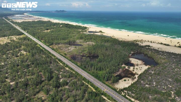 PV Báo Điện tử VTC News ghi nhận, một diện tích lớn rừng dương ( còn gọi là phi lao) phòng hộ ven biển dọc theo tuyến đường ĐT 639 đoạn qua xã An Lương (tỉnh Gia Lai) trong tình trạng xơ xác, trụi lá, chết khô.