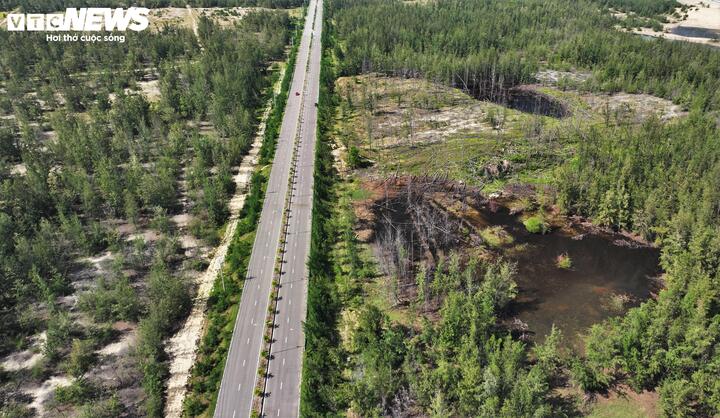 "Khoảng rừng dương chết vào cuối năm 2023 được địa phương xác định do cháy. Tuy nhiên, khoảng rừng bị chết bất thường hiện nay thì địa phương và các cơ quan có liên vẫn chưa xác định được nguyên nhân. Tới đây địa phương sẽ cử lực lượng chức năng kiểm tra, đo đạc thiệt hại và xác định nguyên nhân rừng chết. Sau đó, xã sẽ họp dân để lắng nghe ý kiến, tìm giải pháp khắc phục, đồng thời trồng phục hồi diện tích rừng trên", ông Võ Thanh Hoàng, Chủ tịch UBND xã An Lương thông tin.