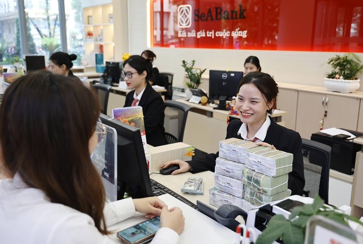 Những dấu ấn phát triển của SeABank năm 2025 - 2