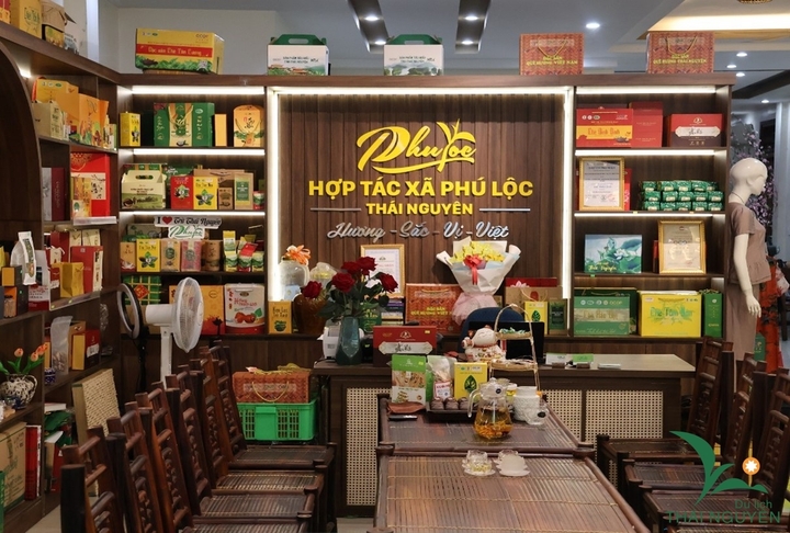 HTX Phú Lộc, một mô hình nổi bật trong việc liên kết tiêu thụ sản phẩm nông nghiệp.