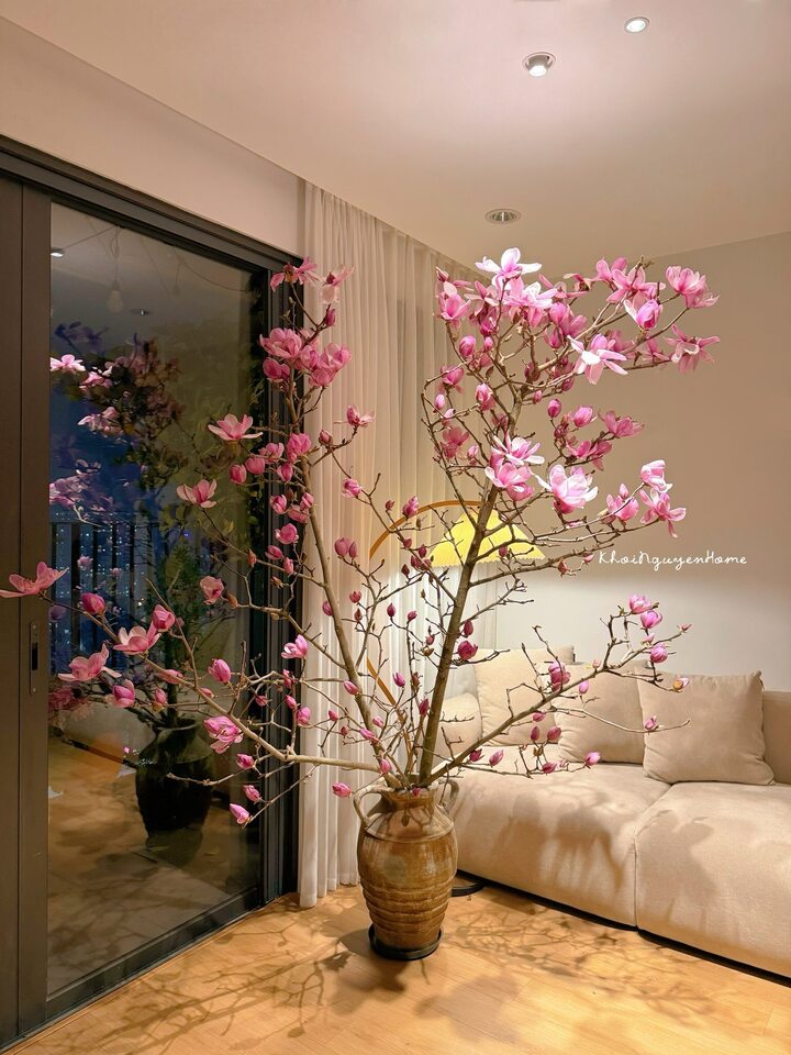 Vì sao hoa mộc lan thành trào lưu sốt xình xịch trên mạng dịp Tết Bính Ngọ? - 1