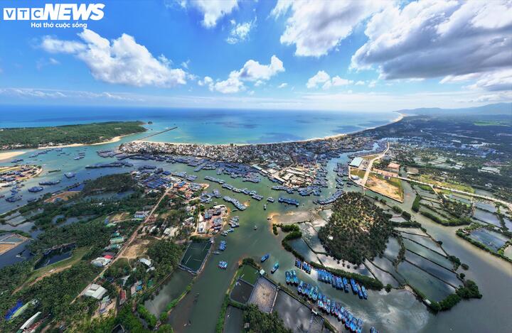 Cá ngừ đại dương là ngành kinh tế mũi nhọn của Gia Lai nói chung và Hoài Nhơn Bắc nói riêng. Việc ngư dân trúng đậm mùa cá giáp Tết không chỉ giúp nâng cao đời sống bà con mà còn tạo đà cho sự phát triển kinh tế - xã hội của toàn tỉnh trong năm mới. Đây cũng là minh chứng cho việc ngư dân luôn yên tâm vươn khơi để phát triển kinh tế vừa góp phần giữ vững chủ quyền biển đảo Việt Nam.