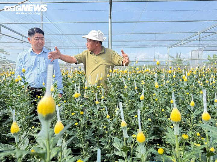 Hiện làng hoa cúc thôn An Châu có hơn 10 hộ trồng hoa. Qua nhiều vụ, cây cúc cho thấy khả năng thích nghi tốt với điều kiện địa phương, mang lại hiệu quả kinh tế ổn định. Thời gian tới, xã sẽ tiếp tục khuyến khích bà con mở rộng diện tích trồng hoa, có thể tăng gấp đôi, thậm chí gấp ba so với hiện nay. Đồng thời, định hướng xây dựng làng hoa cúc theo hướng bền vững, gắn với phát triển kinh tế nông nghiệp và tạo điểm nhấn cho địa phương