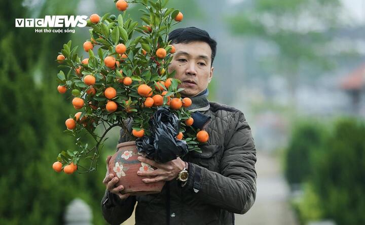 Ngày 4/2, miền Bắc rét về đêm và sáng.