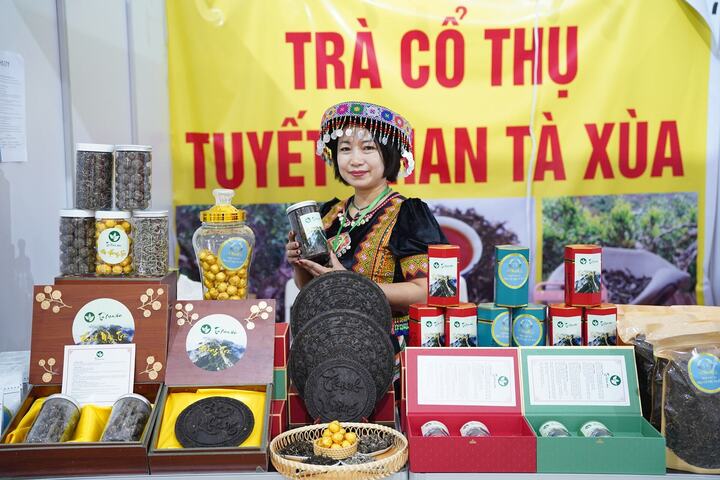 Các dòng sản phẩm bạch trà, hồng trà, trà viên (từ trà xanh và chè vàng) của Hợp tác xã Trà cổ thụ Tà Xùa.